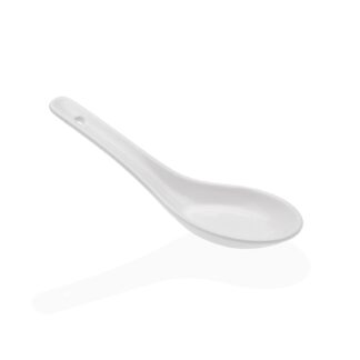 APPETIZER SPOON