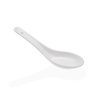 APPETIZER SPOON