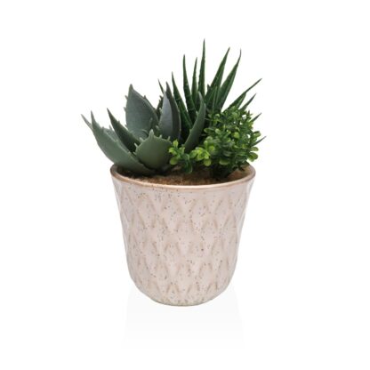 CERAMIC POT WITH SUCCULENT 3