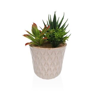 CERAMIC POT WITH SUCCULENT 4