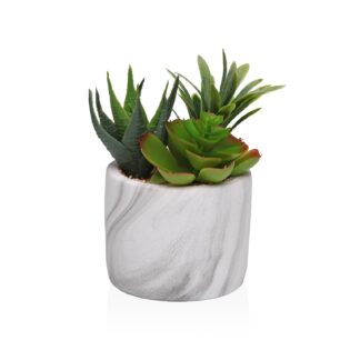 MARBLE-EFFECT POT WITH SUCCULENT 2