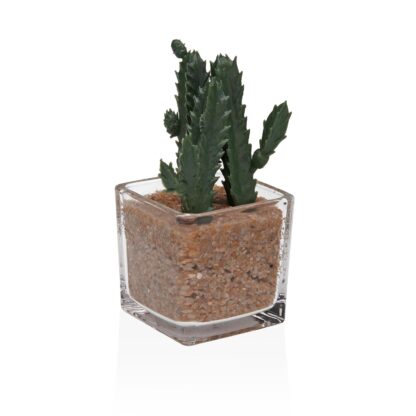GLASS POT WITH SUCCULENT 1