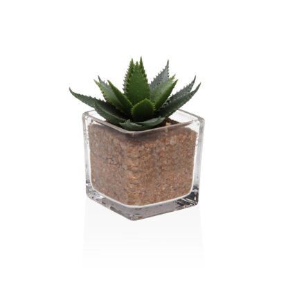 GLASS POT WITH SUCCULENT 3