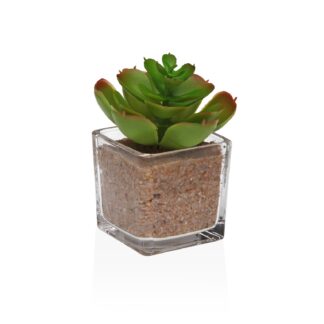 GLASS POT WITH SUCCULENT 4
