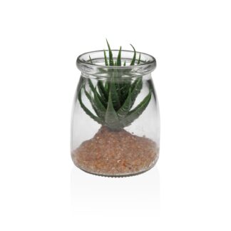 GLASS JAR WITH SUCCULENT 1