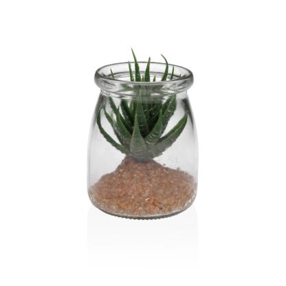 GLASS JAR WITH SUCCULENT 1