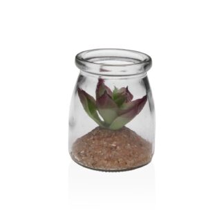 GLASS JAR WITH SUCCULENT 3