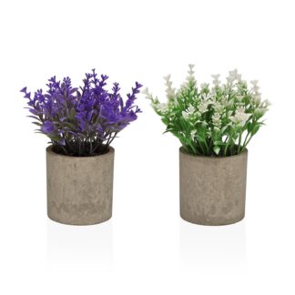 ASSORTED DECORATIVE POT WITH MIMOSAS 16 CM