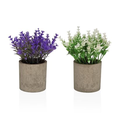 ASSORTED DECORATIVE POT WITH MIMOSAS 16 CM