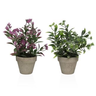 ASSORTMENT OF TWO DECORATIVE PLANTS 26 CM