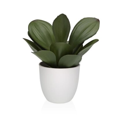 DECORATIVE POT WITH PLANT 23 CM