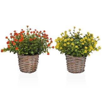 ASSORTMENT OF TWO DECORATIVE POTS "EVERLASTINGS"