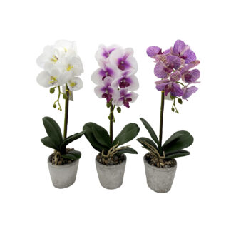 ORCHID FLOWER SET OF 3 WITH POT