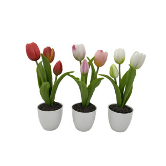 TULIP FLOWER SET OF 3 WITH POT