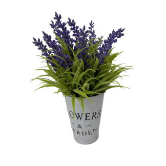 LAVENDER PLANT WITH POT