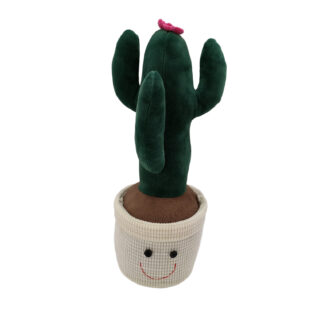 CACTUS WITH FLOWER DOORSTOP