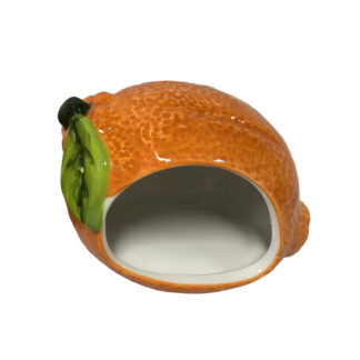 ORANGE SPONGE HOLDER